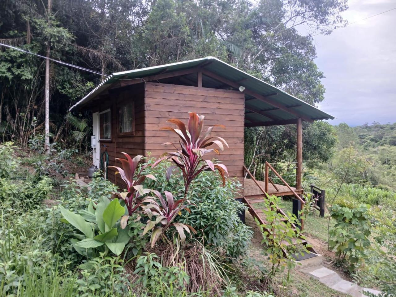Cabana Manaca Da Serra Morretes Dış mekan fotoğraf